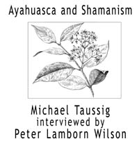 Ayahuasca and Shamanism